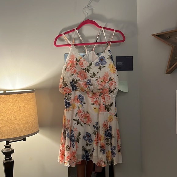 NWT Bouquet of Blooms Ivory Floral Print Clipped Dot Mini Dress - Picture 7 of 11